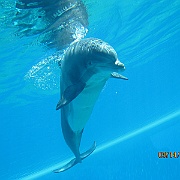 Picture 129